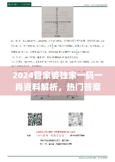 2024管家婆独家一码一肖资料解析，热门答案详解_旗舰版QMU541.4