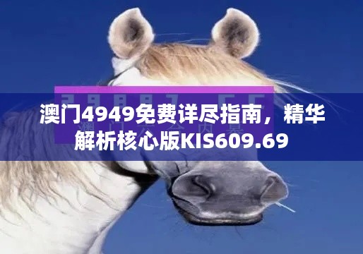 澳门4949免费详尽指南，精华解析核心版KIS609.69