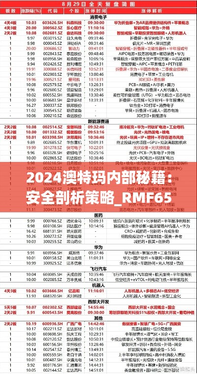 2024澳特玛内部秘籍：安全剖析策略_RMF651.19高级版