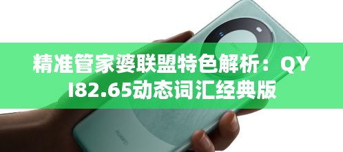 精准管家婆联盟特色解析：QYI82.65动态词汇经典版