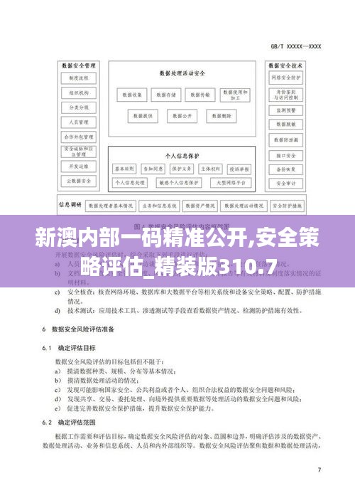 新澳内部一码精准公开,安全策略评估_精装版310.7