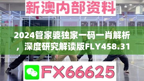 2024管家婆独家一码一肖解析，深度研究解读版FLY458.31