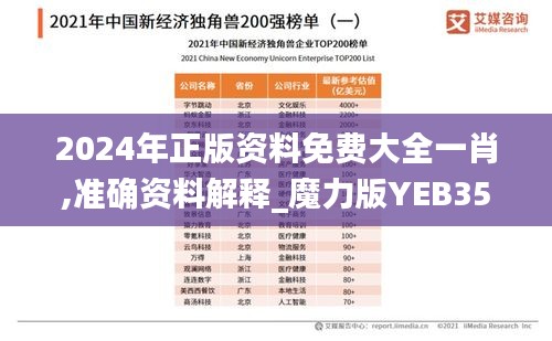 2024年正版资料免费大全一肖,准确资料解释_魔力版YEB355.45