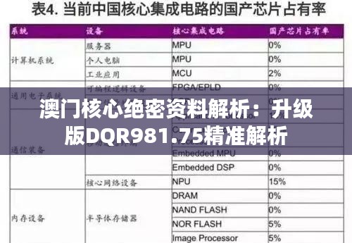 澳门核心绝密资料解析：升级版DQR981.75精准解析