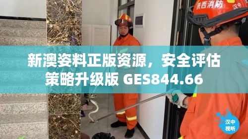 新澳姿料正版资源，安全评估策略升级版 GES844.66