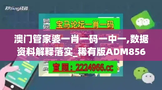 澳门管家婆一肖一码一中一,数据资料解释落实_稀有版ADM856.59