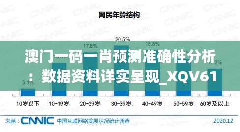 澳门一码一肖预测准确性分析：数据资料详实呈现_XQV612.7备用版