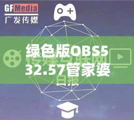 绿色版OBS532.57管家婆资料库，免费新奥门特数据详释汇总