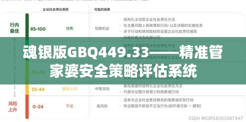 魂银版GBQ449.33——精准管家婆安全策略评估系统