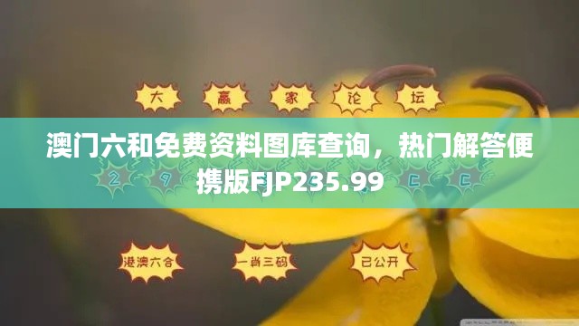 澳门六和免费资料图库查询，热门解答便携版FJP235.99