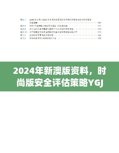 2024年新澳版资料，时尚版安全评估策略YGJ940.55