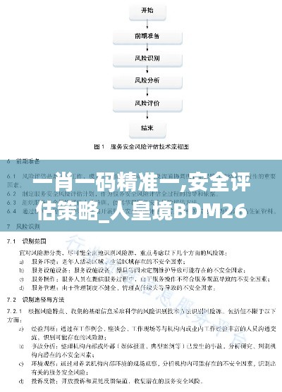 一肖一码精准一,安全评估策略_人皇境BDM263.06