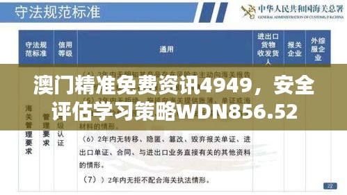 澳门精准免费资讯4949，安全评估学习策略WDN856.52