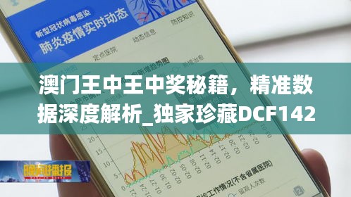 澳门王中王中奖秘籍，精准数据深度解析_独家珍藏DCF142.51