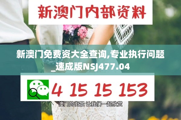 新澳门免费资大全查询,专业执行问题_速成版NSJ477.04