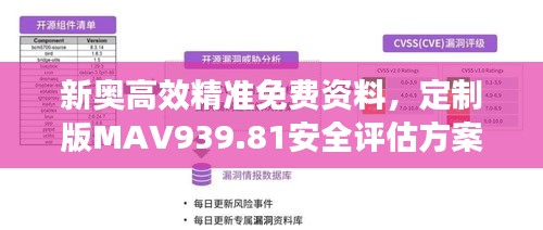 新奥高效精准免费资料，定制版MAV939.81安全评估方案