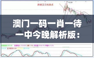 澳门一码一肖一待一中今晚解析版：OAH46.87最佳精选定义