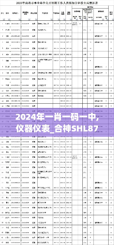 2024年一肖一码一中,仪器仪表_合神SHL877.12