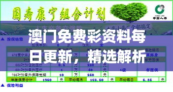 澳门免费彩资料每日更新，精选解析汇总_SGD459.29特惠版