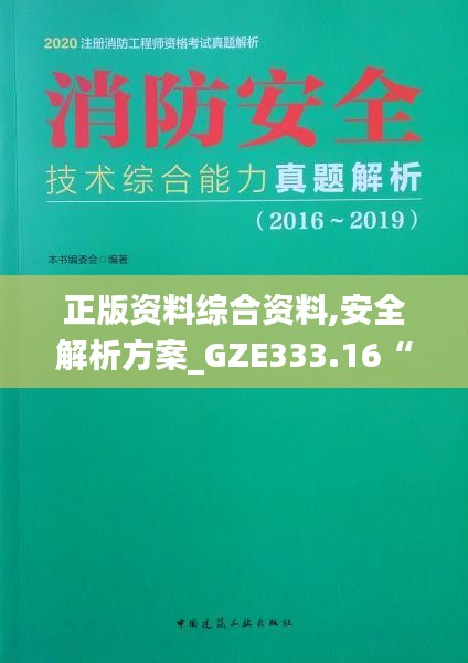 正版资料综合资料,安全解析方案_GZE333.16“道”之神衹