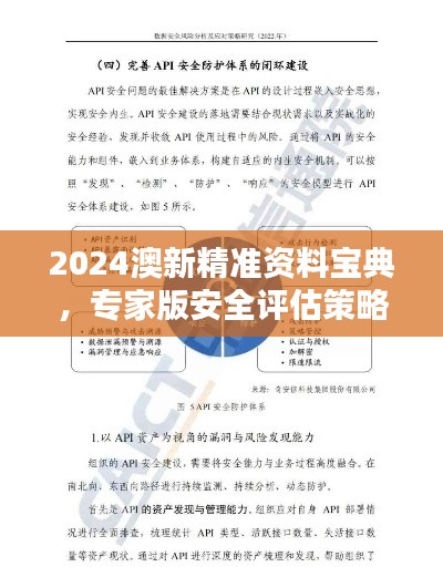 2024澳新精准资料宝典，专家版安全评估策略指南PHU392.55