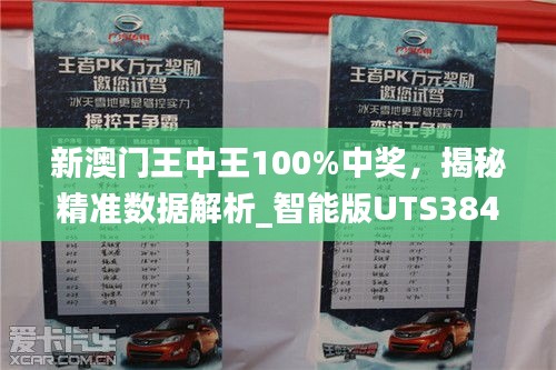 新澳门王中王100%中奖，揭秘精准数据解析_智能版UTS384.48