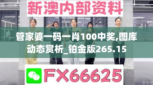 管家婆一码一肖100中奖,图库动态赏析_铂金版265.15