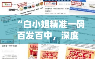 “白小姐精准一码百发百中，深度揭秘安全策略之领航版IMH805.76”