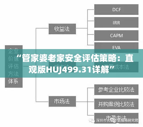 “管家婆老家安全评估策略：直观版HUJ499.31详解”