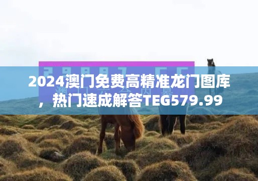 2024澳门免费高精准龙门图库，热门速成解答TEG579.99