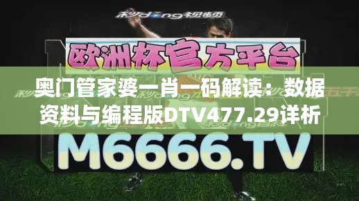 奥门管家婆一肖一码解读：数据资料与编程版DTV477.29详析