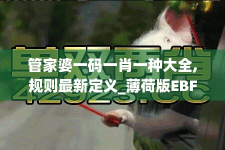 管家婆一码一肖一种大全,规则最新定义_薄荷版EBF789.46