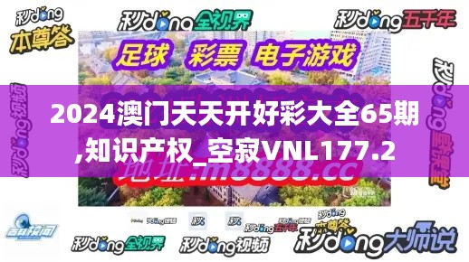 2024澳门天天开好彩大全65期,知识产权_空寂VNL177.2