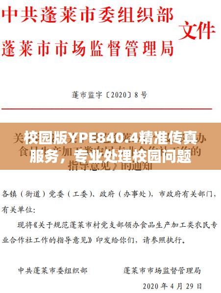 校园版YPE840.4精准传真服务，专业处理校园问题