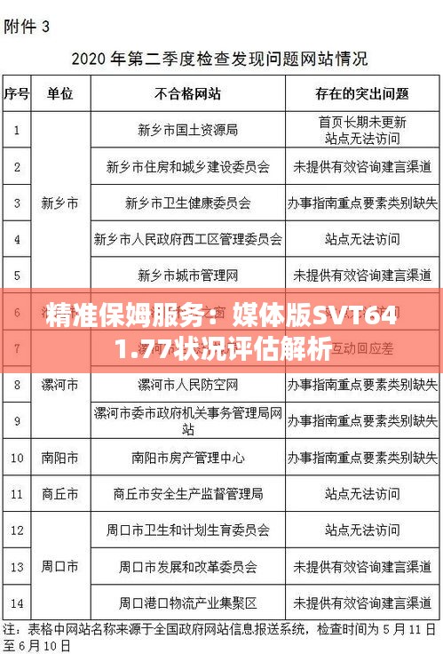 精准保姆服务：媒体版SVT641.77状况评估解析