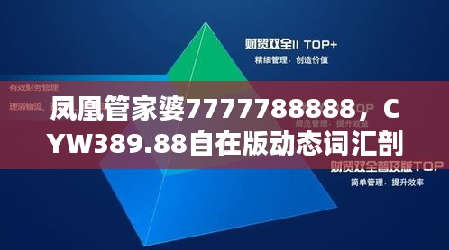 凤凰管家婆7777788888，CYW389.88自在版动态词汇剖析