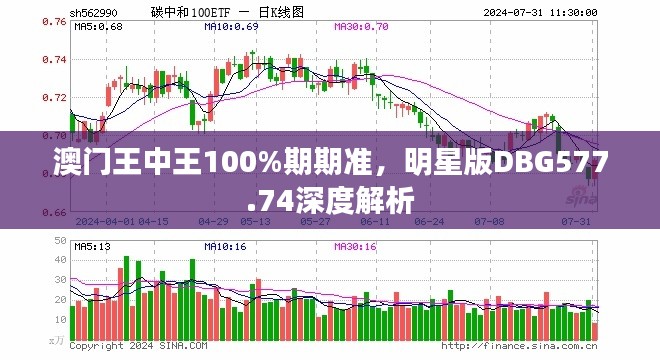 澳门王中王100%期期准，明星版DBG577.74深度解析