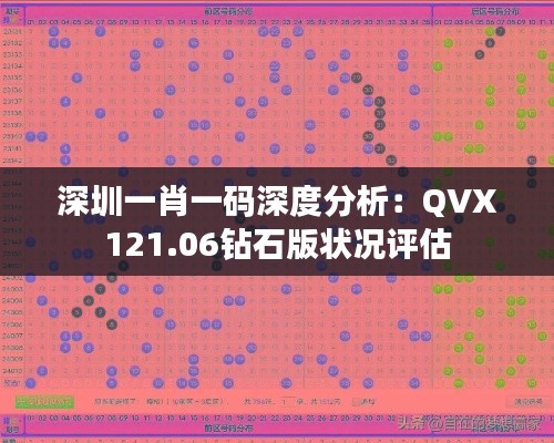 深圳一肖一码深度分析：QVX121.06钻石版状况评估