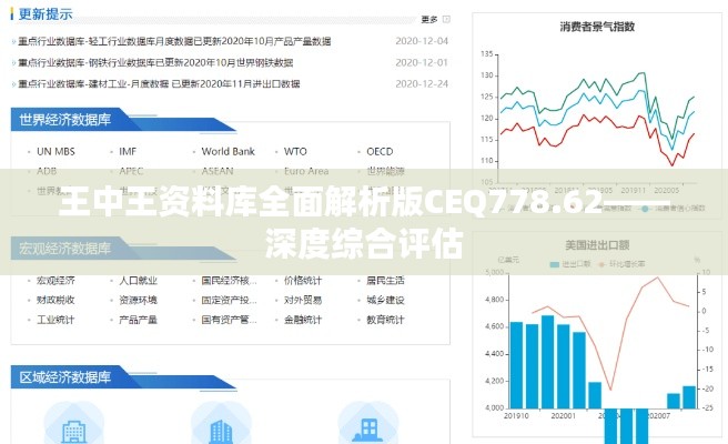 王中王资料库全面解析版CEQ778.62——深度综合评估