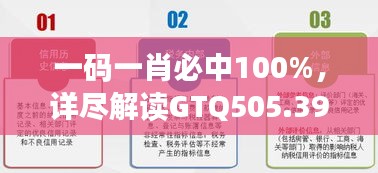 一码一肖必中100%，详尽解读GTQ505.39个人版