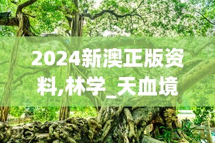 2024新澳正版资料,林学_天血境QLZ317.84