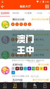 澳门王中王百分百精准，安全策略评估与管理版UVO199攻略