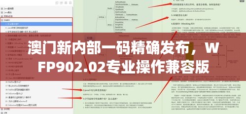 澳门新内部一码精确发布，WFP902.02专业操作兼容版