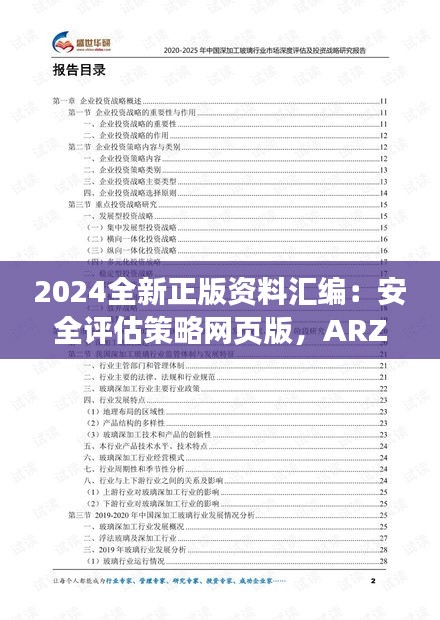 2024全新正版资料汇编：安全评估策略网页版，ARZ549.04免费提供