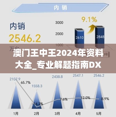 澳门王中王2024年资料大全_专业解题指南DXO410.31