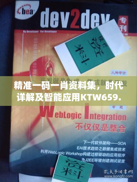 精准一码一肖资料集，时代详解及智能应用KTW659.99