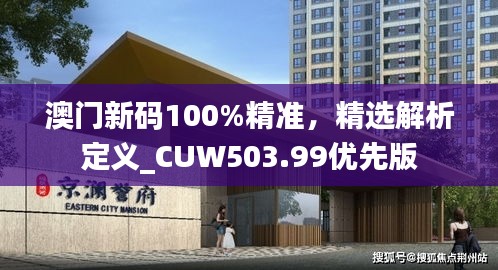 澳门新码100%精准，精选解析定义_CUW503.99优先版