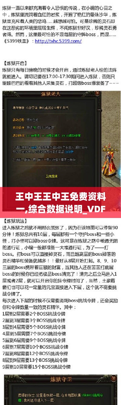 王中王王中王免费资料一,综合数据说明_VDF773日之神祗