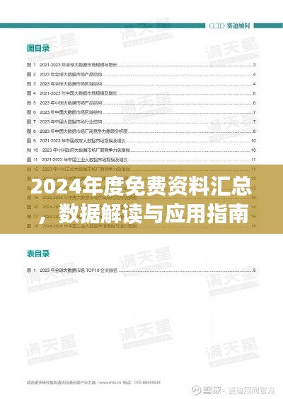 2024年度免费资料汇总，数据解读与应用指南：DNI247.4未来版