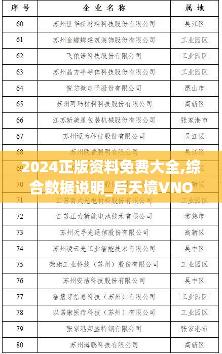 2024正版资料免费大全,综合数据说明_后天境VNO349.96